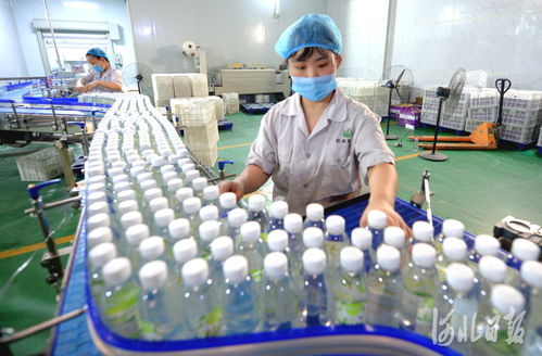 河北巨鹿 農(nóng)產(chǎn)品加工促增收，鳳凰網(wǎng)河北聚焦鄉(xiāng)村振興新路徑