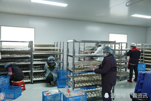 糍粑土貨搭電商快車(chē)出大山——獨(dú)山電商農(nóng)產(chǎn)品加工中心的轉(zhuǎn)型之路