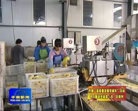 我區(qū)著力做大做強(qiáng)農(nóng)業(yè)重點(diǎn)項(xiàng)目 農(nóng)產(chǎn)品加工實(shí)現(xiàn)高質(zhì)量發(fā)展