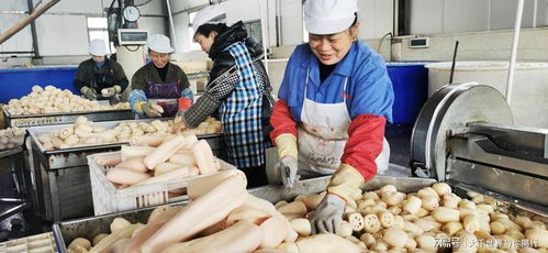 銅梁永嘉鎮(zhèn) 訂單紛至沓來(lái)，農(nóng)產(chǎn)品加工生產(chǎn)忙