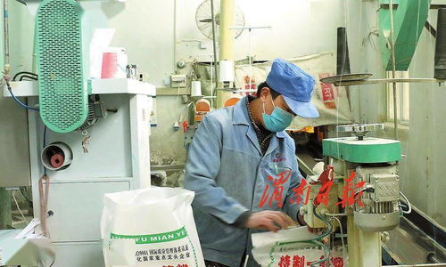 打造農(nóng)產(chǎn)品加工產(chǎn)業(yè)新地標(biāo) 渭南經(jīng)開(kāi)區(qū)傾力推進(jìn)農(nóng)業(yè)產(chǎn)業(yè)高質(zhì)量發(fā)展