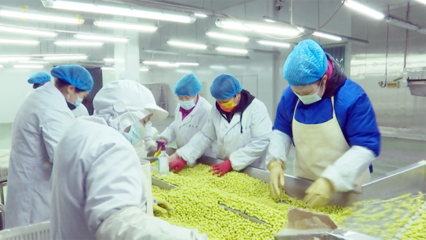 蘭西特色農產品 從田間走向全國，農產品加工撬動產業升級