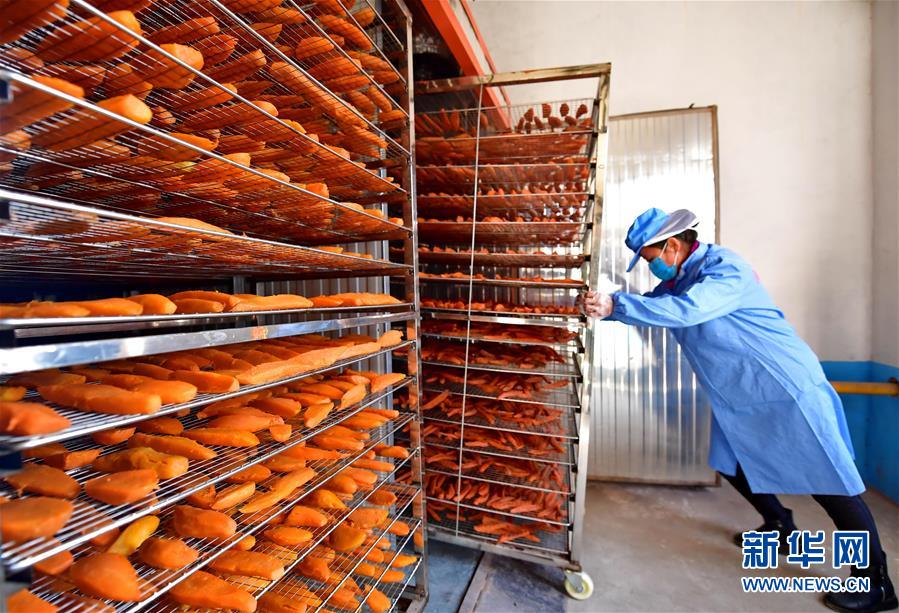 河北灤州 農產品深加工的“大商機”