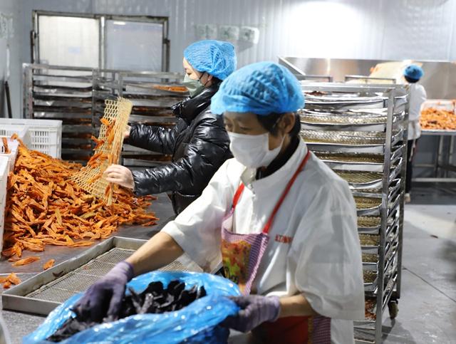 春節不停產 農產品加工忙