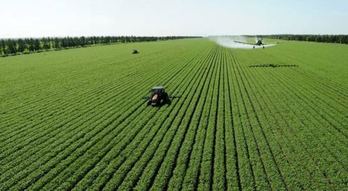 唐華俊院士 智慧農業賦能農產品加工，推動農業現代化高質量發展