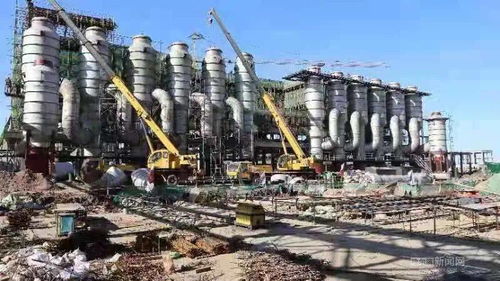 我省以農產品加工為切口，創新招商模式推動農業產業升級