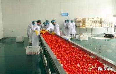 愛惠農 | 農業農村部 加快現代農業建設，開展農村創業創新與農產品加工