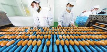 浦東農產品深加工嶄露頭角，推動農業(yè)現(xiàn)代化轉型升級