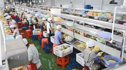 抓住農業(yè)的未來！新機遇都在這五座“金礦”——初級農產品購銷