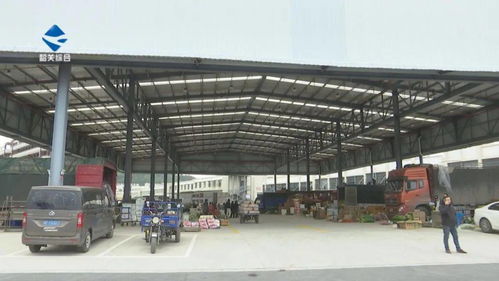 華南農產品交易中心蔬菜交易區正式啟用 助力初級農產品高效流通