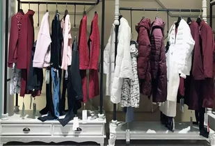 2018年中國服裝行業經濟運行分析 縮減版,下